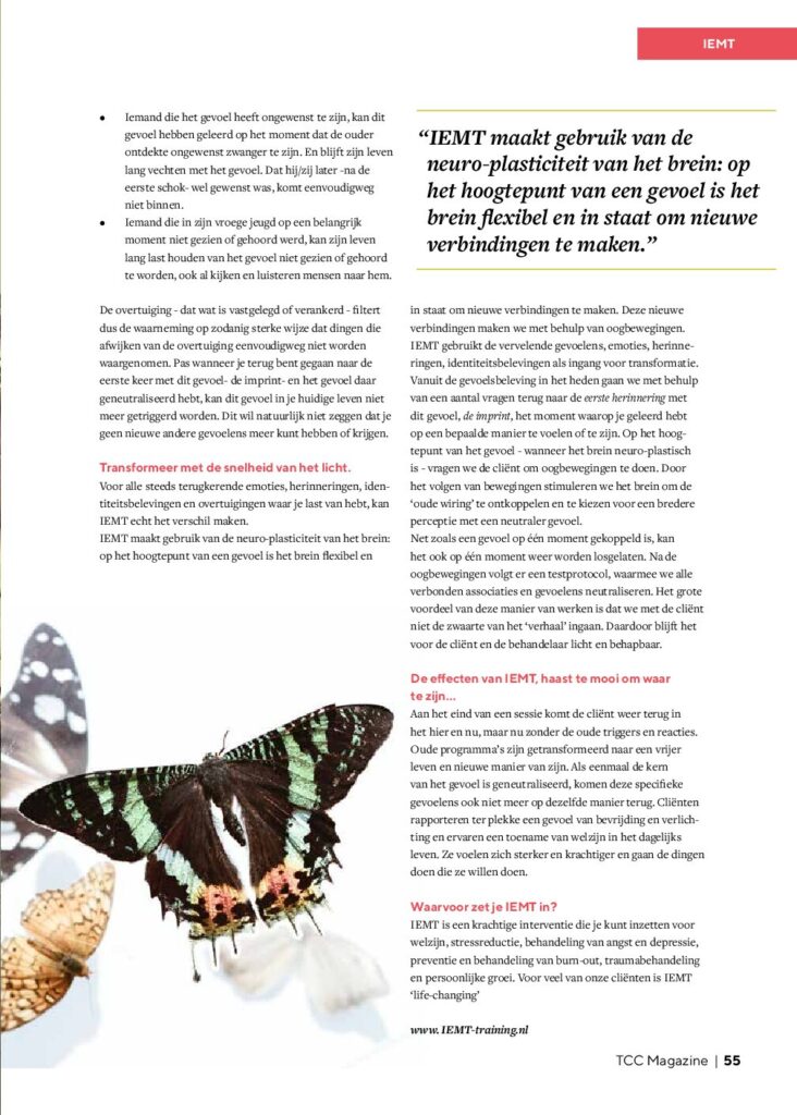 Transformeer met IEMT - artikel TCC deel 2